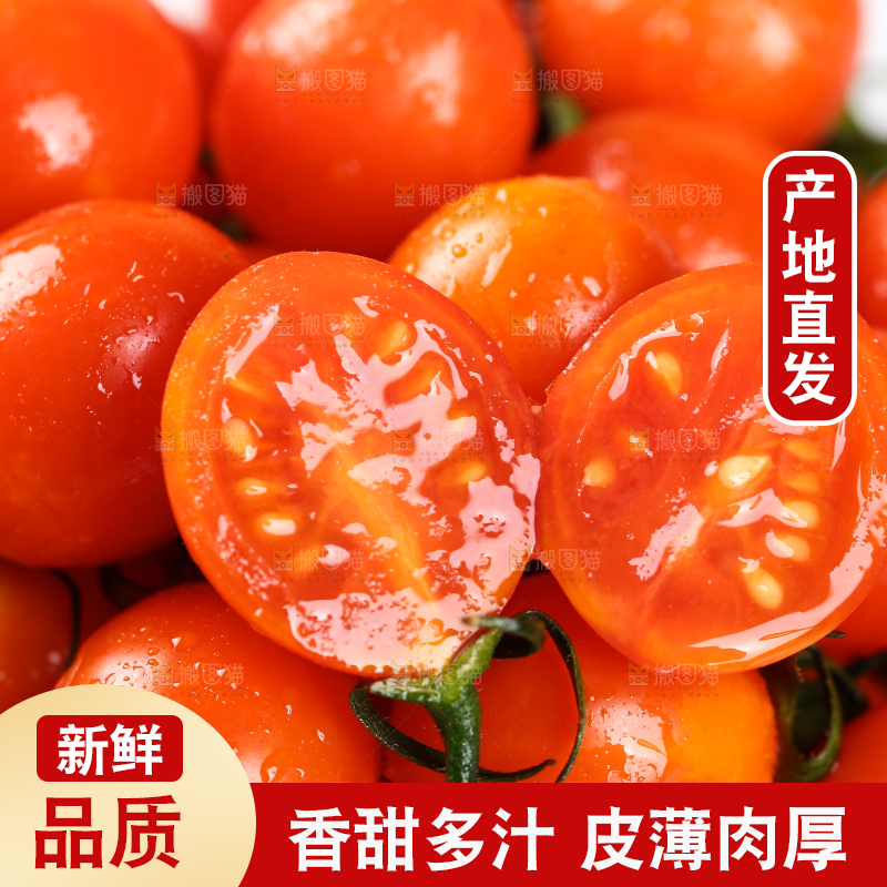 一堆新鲜珠珠小番茄