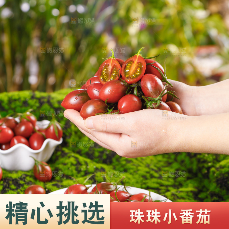手里捧着珠珠小番茄