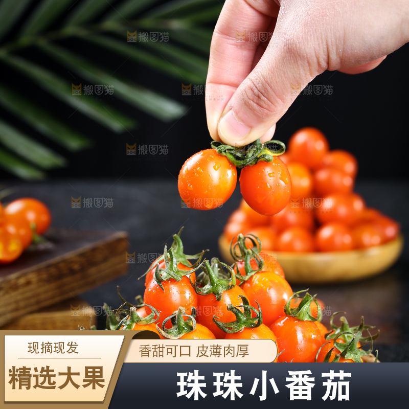 手里拿着新鲜小番茄