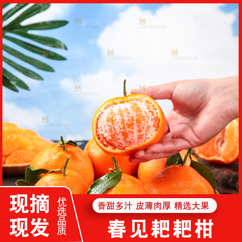 手里拿着耙耙柑