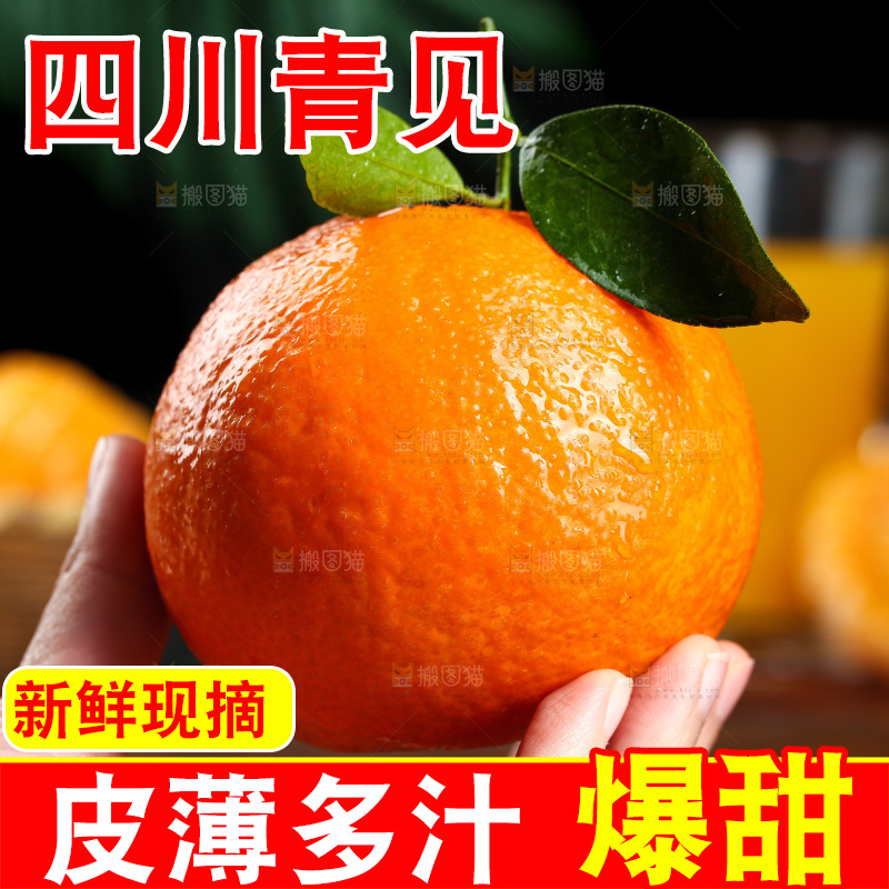 手里拿着青见