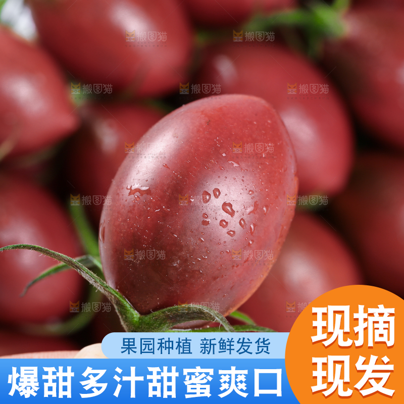 手里拿着珍珠小番茄