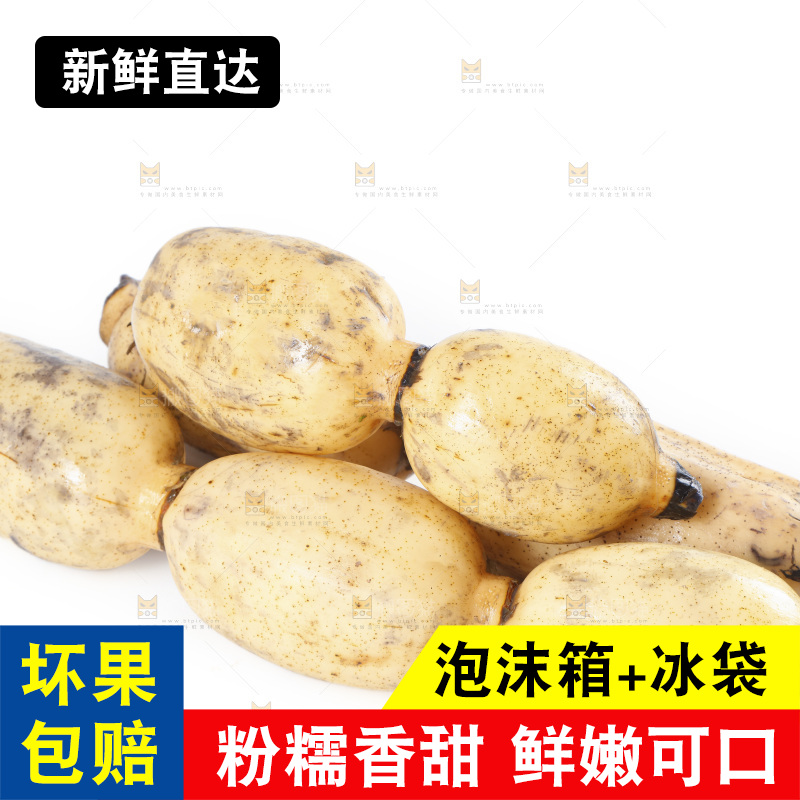 白底上放着白莲藕