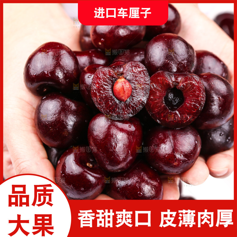 手里捧着美国进口车厘子