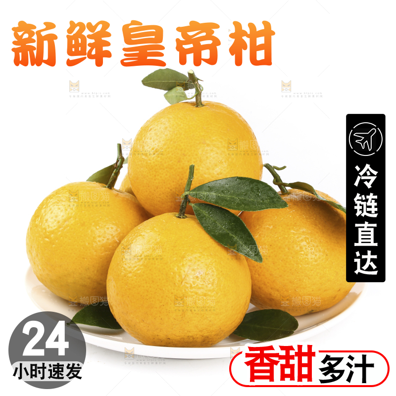 白底上放着一盘皇帝柑