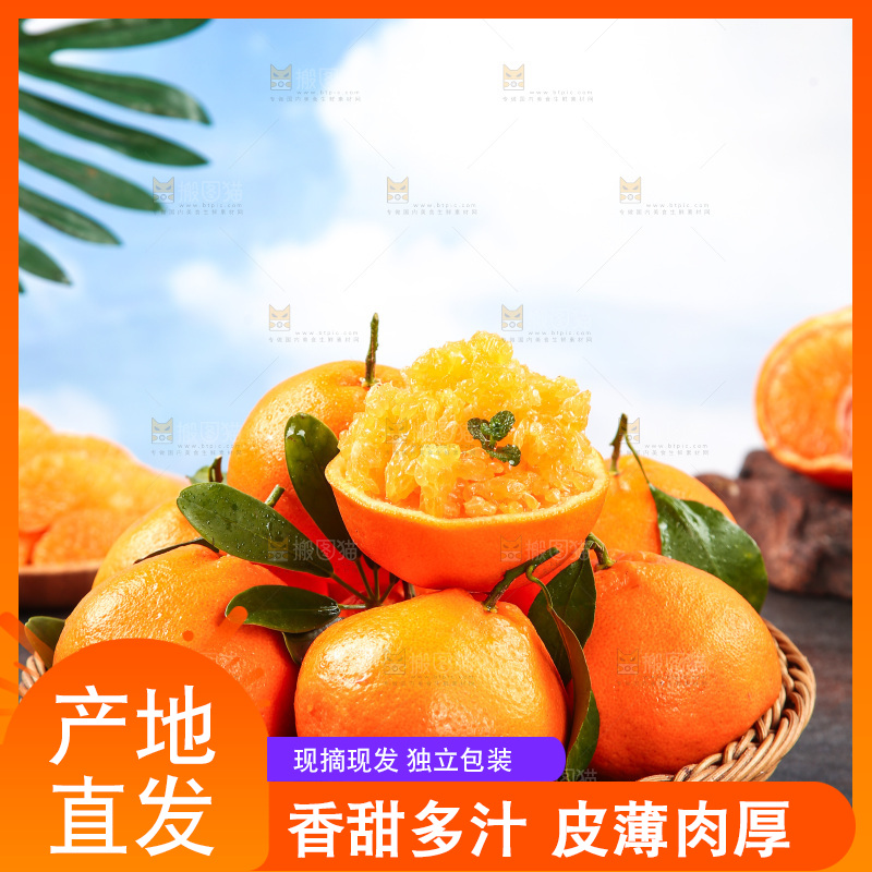 黑底上放着一篮春见耙耙柑
