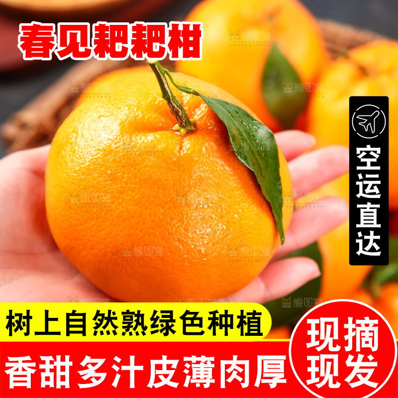 手里拿着春见