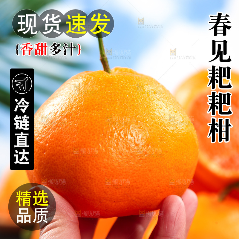 手里拿着耙耙柑