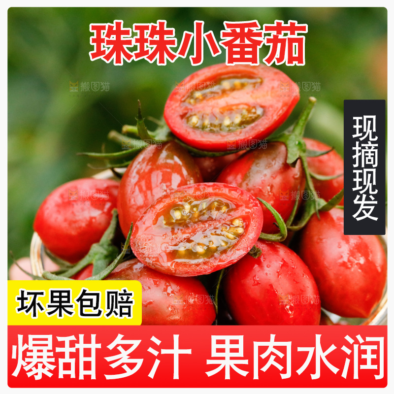 杯子里装着珍珠小番茄