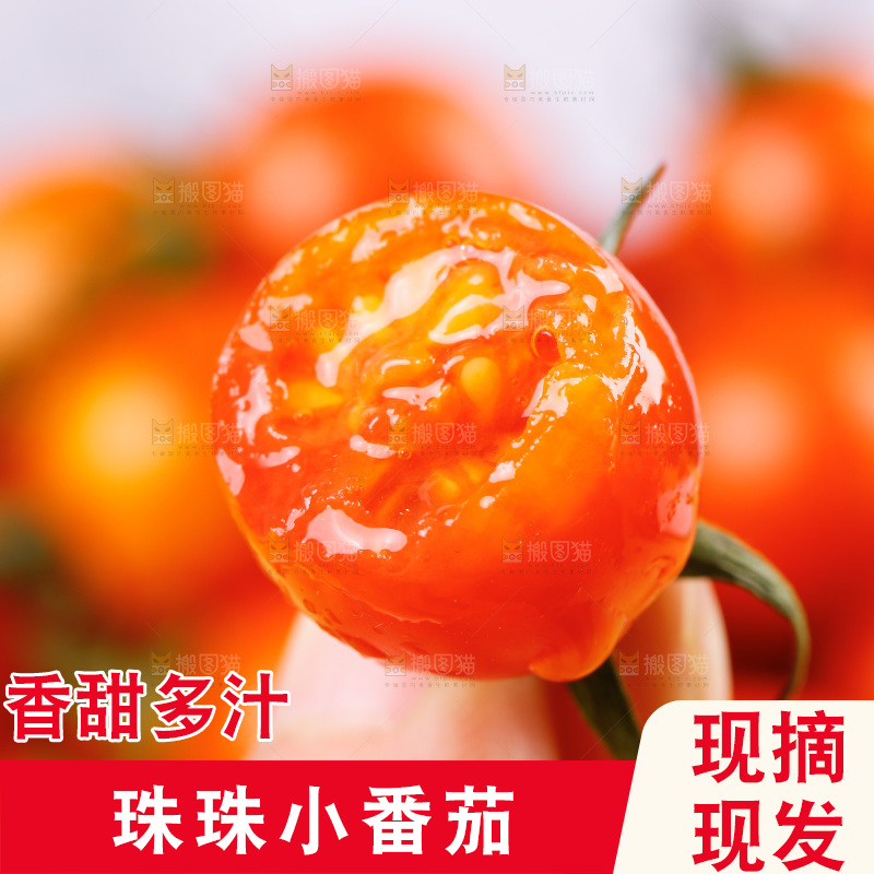 手里拿着新鲜小番茄