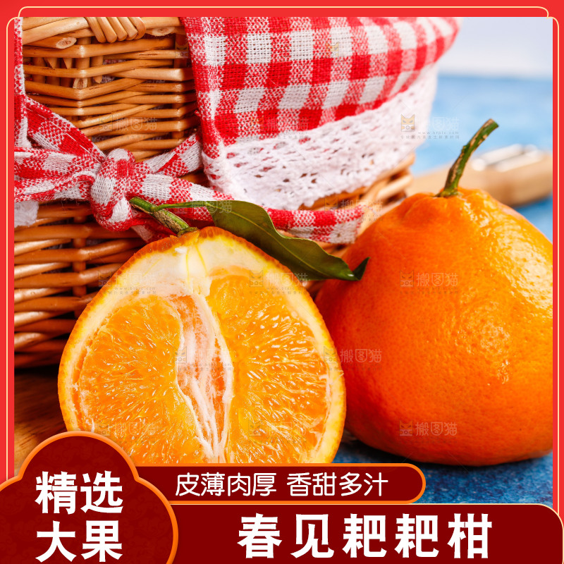 篮子里装着春见耙耙柑
