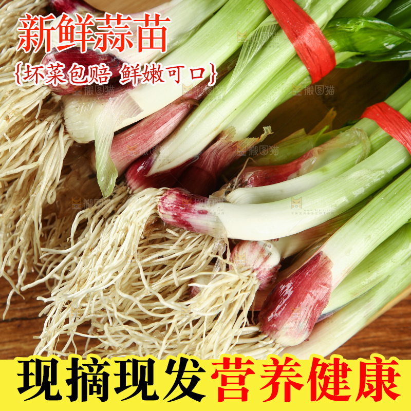 木底上放着蒜苗