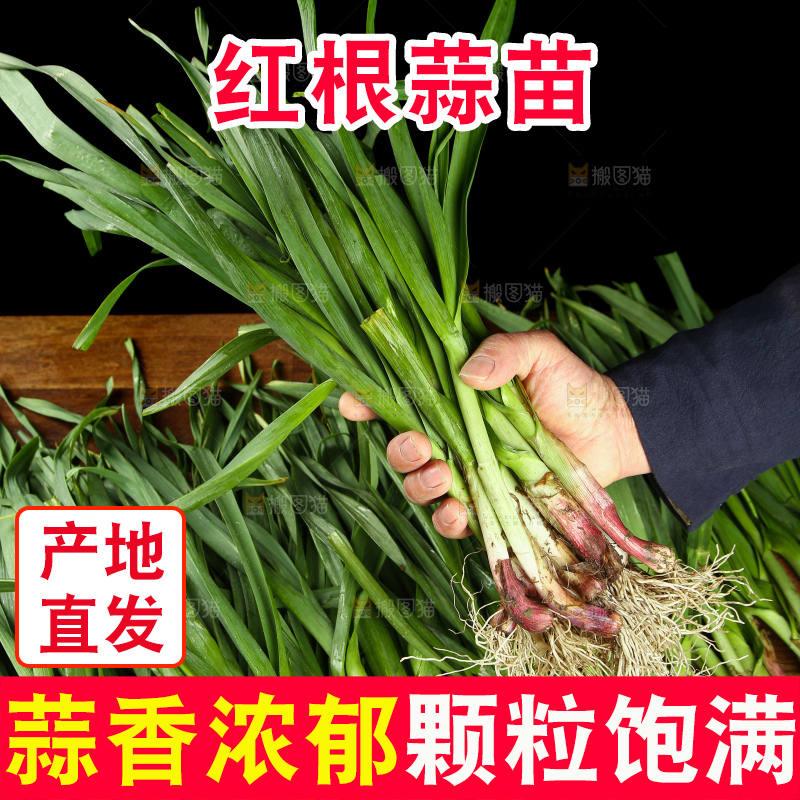 手里拿着蒜苗