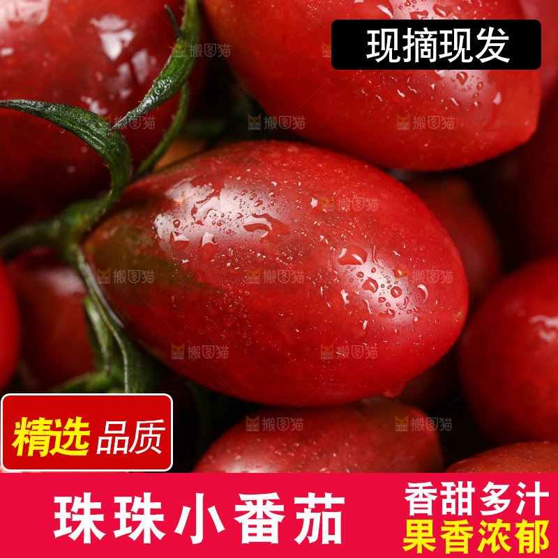 珠珠小番茄纹理
