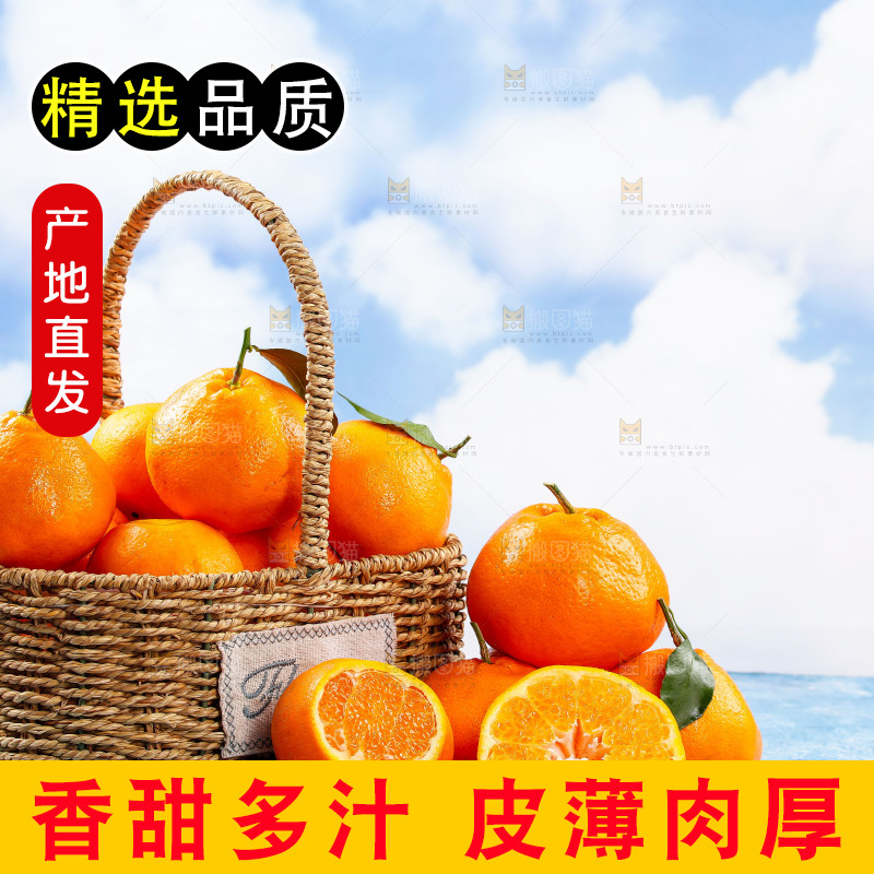 篮子里装着春见耙耙柑