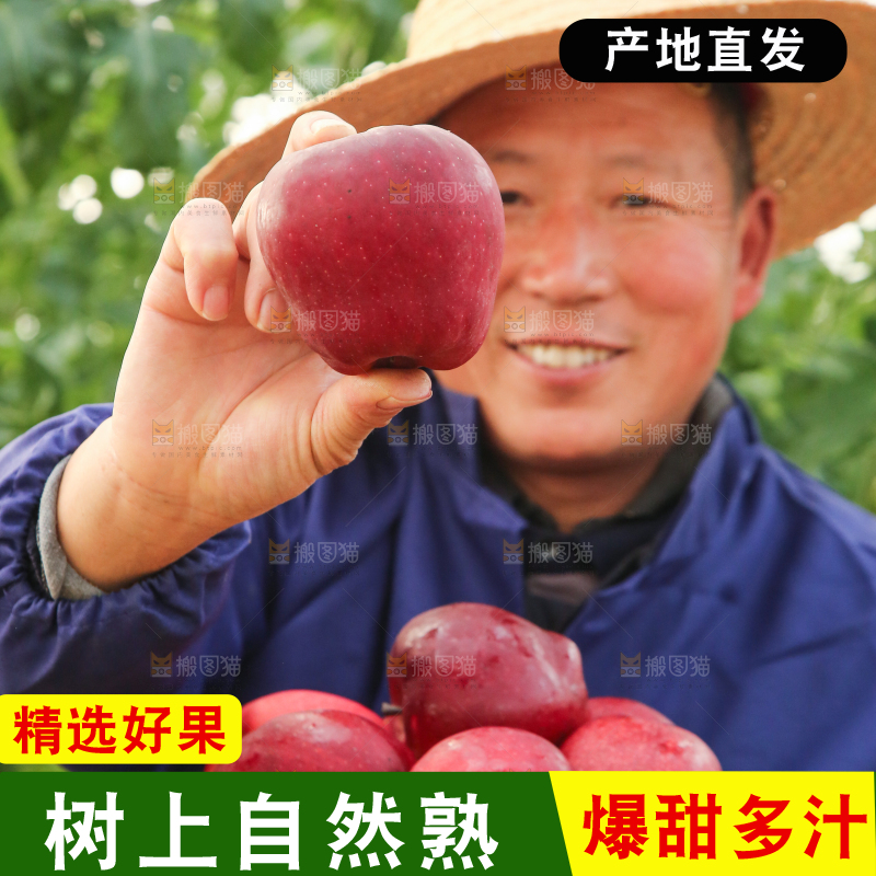农民手里拿着花牛苹果