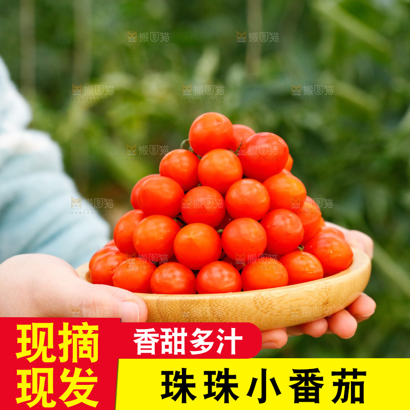 手里端着一盘珠珠小番茄