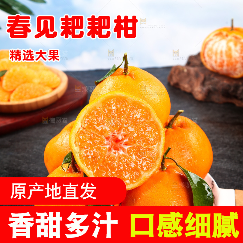盘子里的四川春见耙耙柑