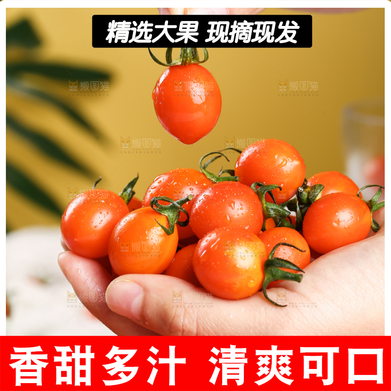 手里拿着黄金小番茄