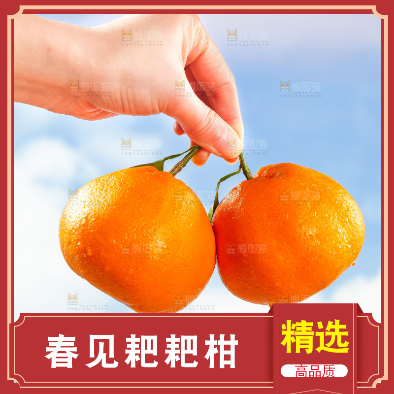 手里拿着四川春见耙耙柑