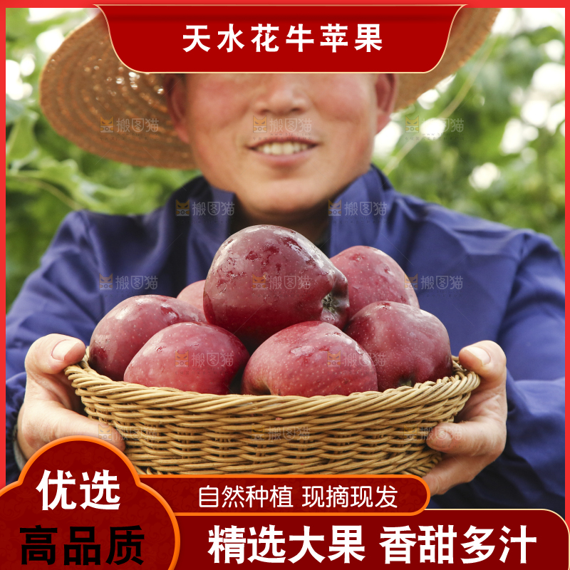 农民端着一篮子天水花牛苹果