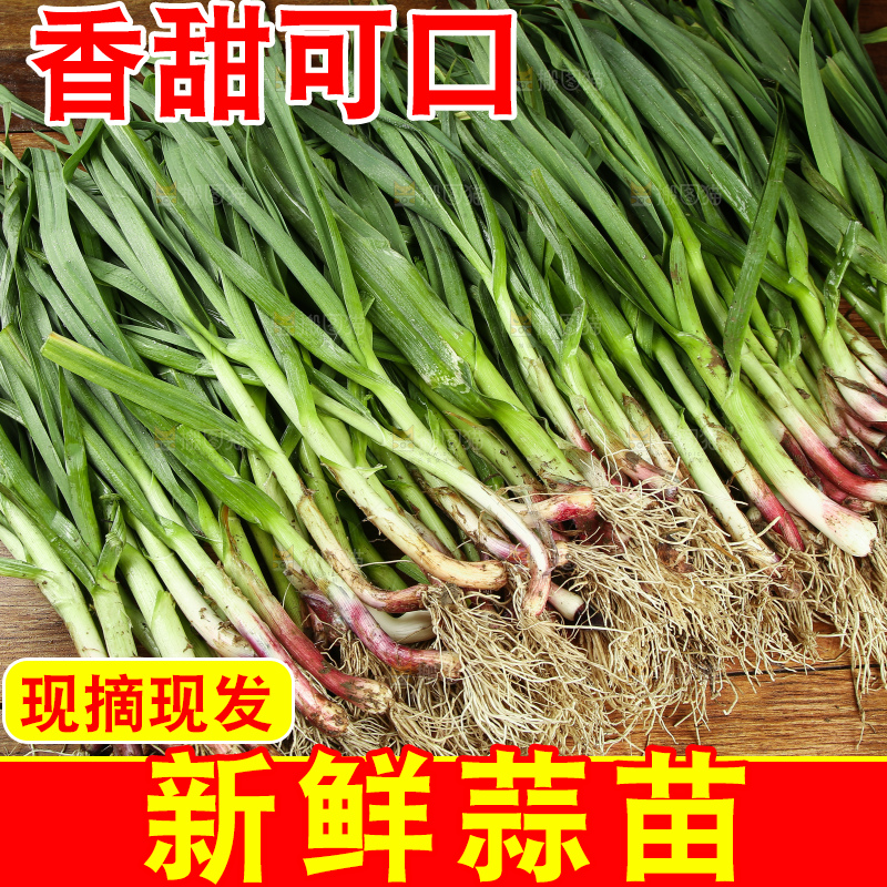木底上放着一堆红皮蒜苗