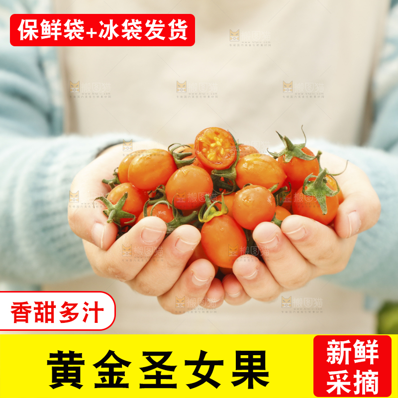 手里捧着黄金小番茄