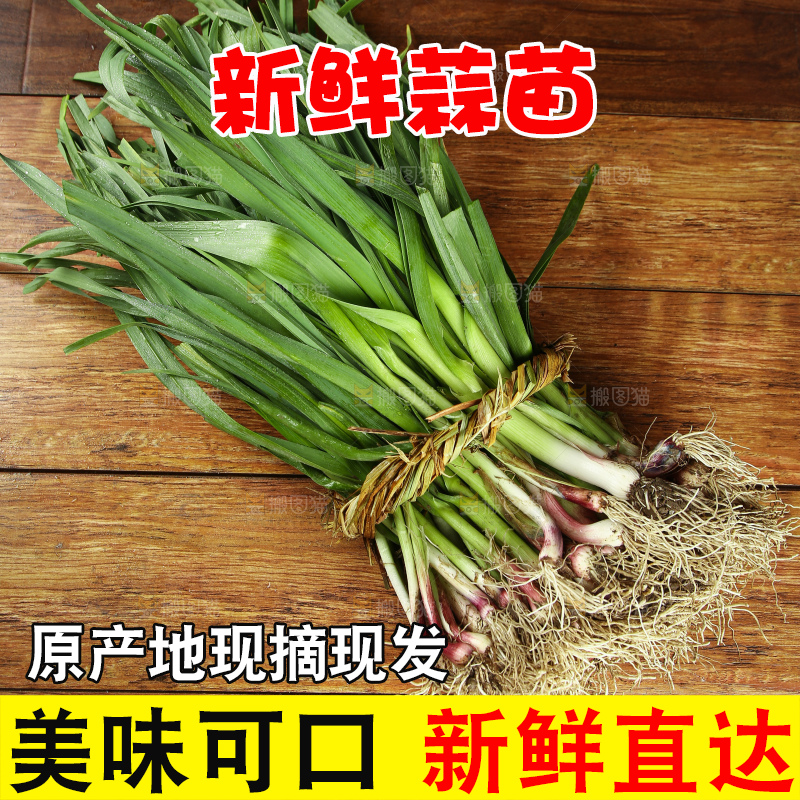 木底上放着新鲜蒜苗