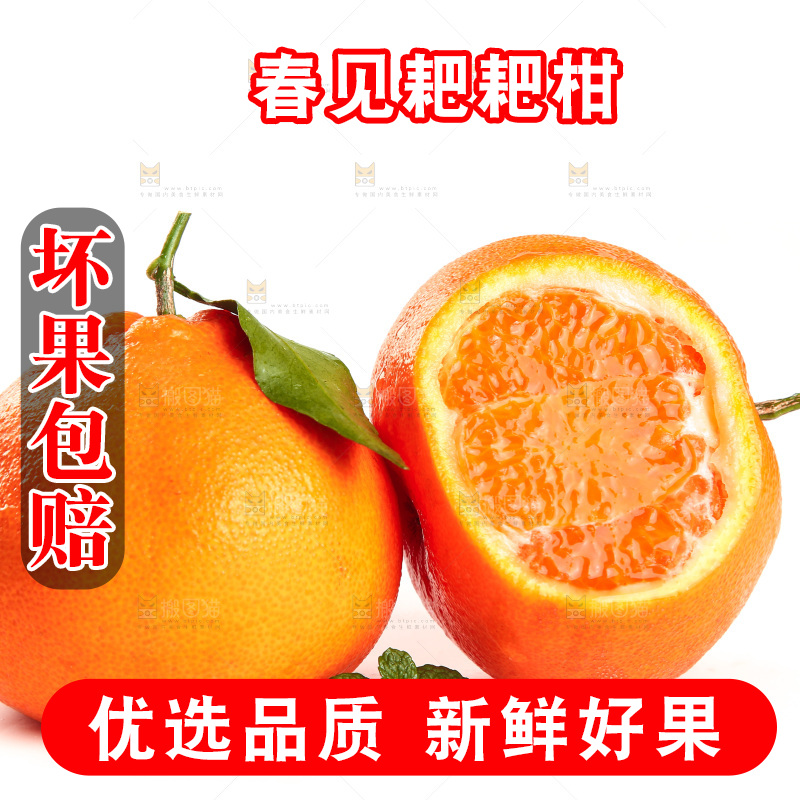 白底上的耙耙柑