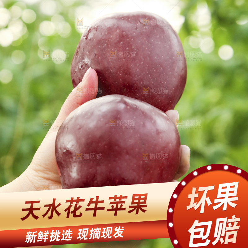 手里拿着花牛苹果