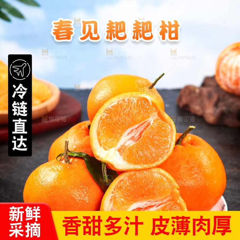 盘子里的四川春见耙耙柑