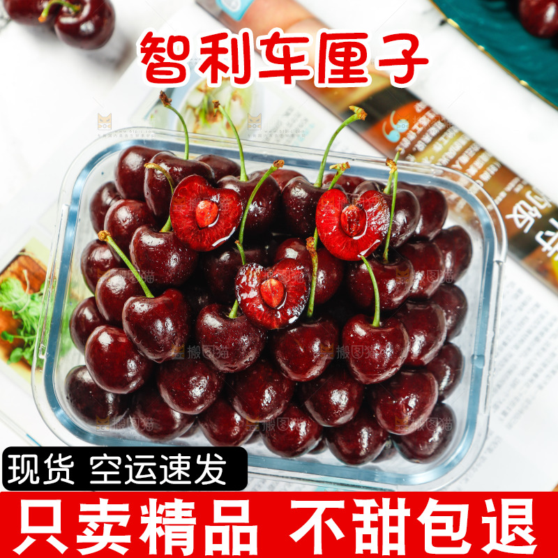 碗里装着黑珍珠车厘子