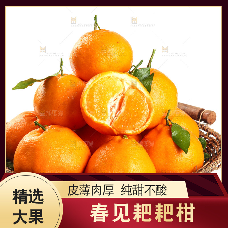 篮子里装着四川春见耙耙柑