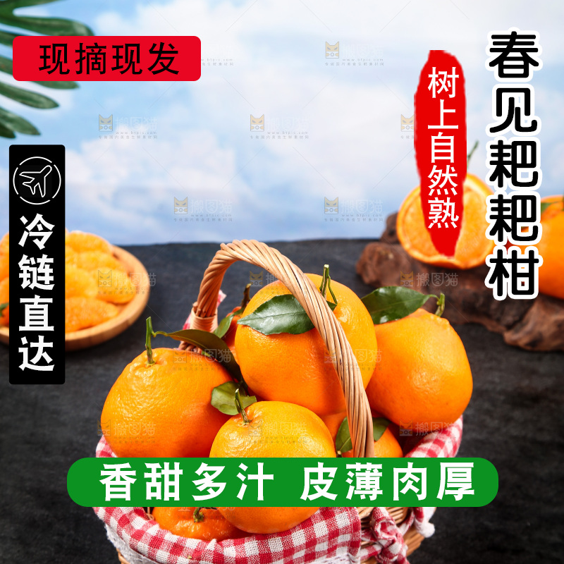黑底上放着一篮春见耙耙柑