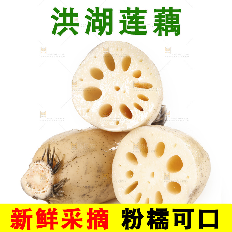 白底上的洪湖莲藕