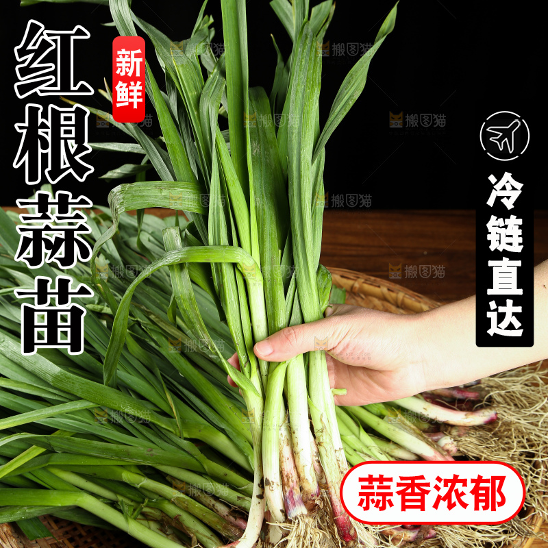 手里拿着蒜苗