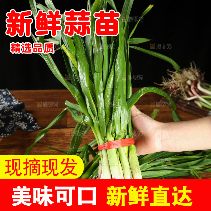 手上拿着蒜苗
