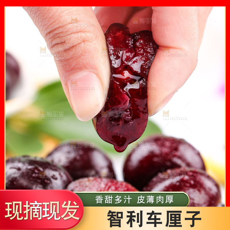 手里爆汁的智利车厘子
