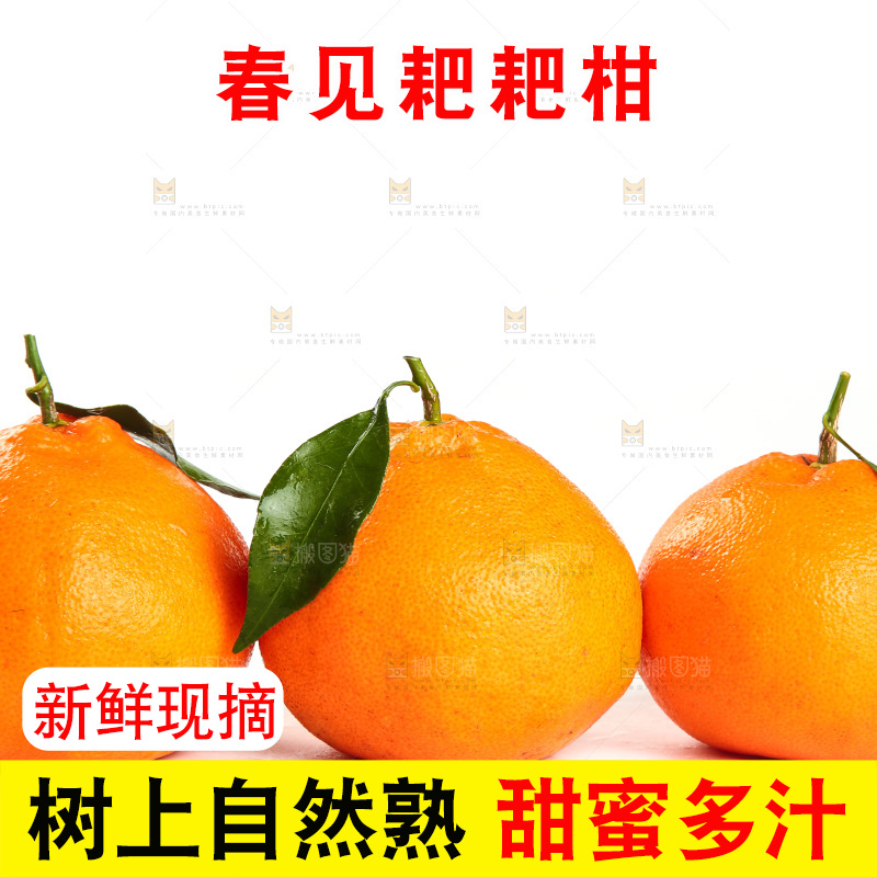 白底上放着春见