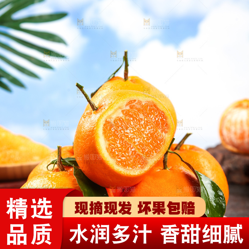 盘子里的四川春见耙耙柑