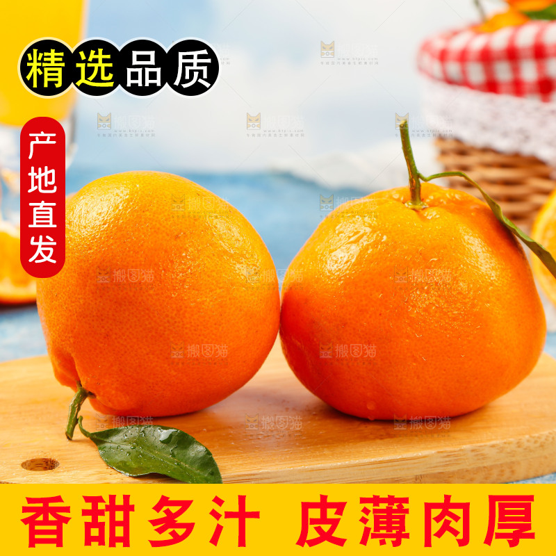 木板上放着春见耙耙柑