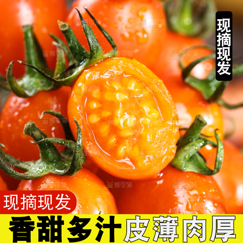一堆小番茄