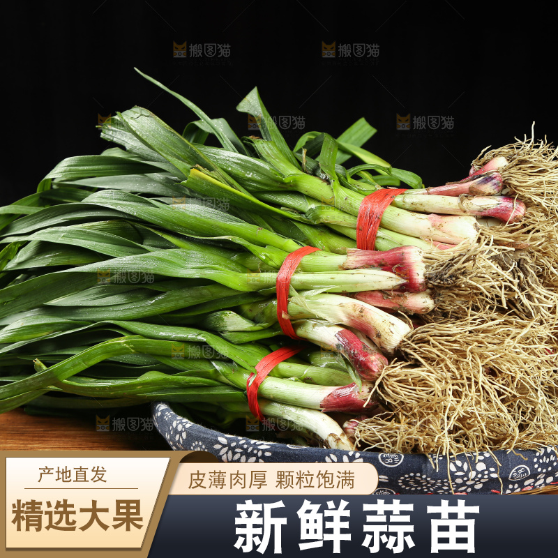木底上放着一篮蒜苗