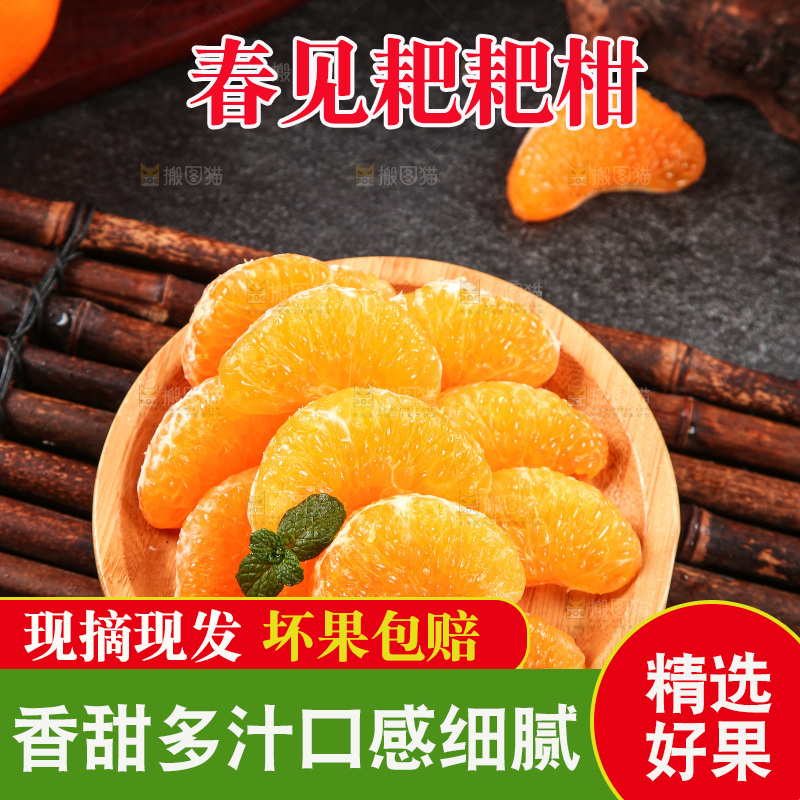 竹底上放着一盘春见耙耙柑果肉