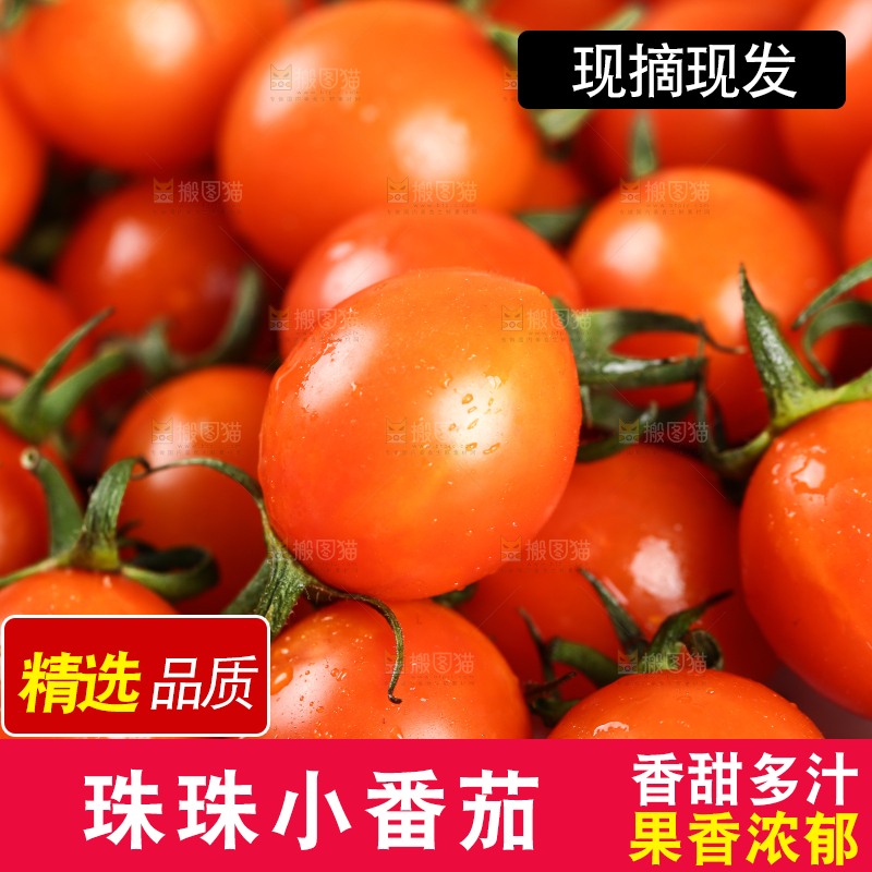 珠珠小番茄纹理