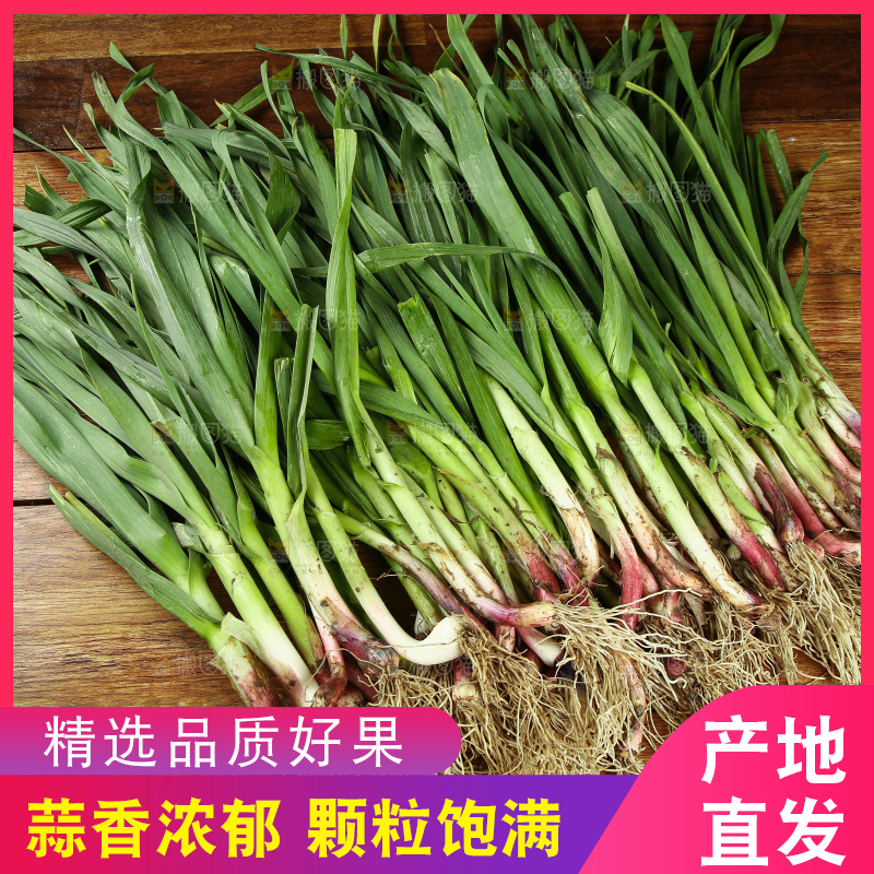 木底上放着新鲜蒜苗