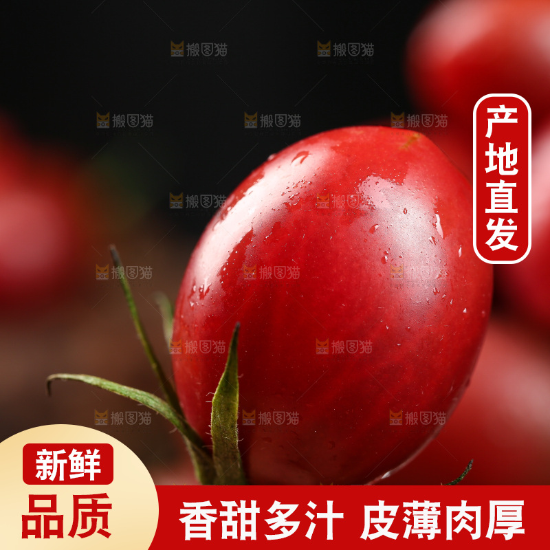 手里拿着新鲜小番茄