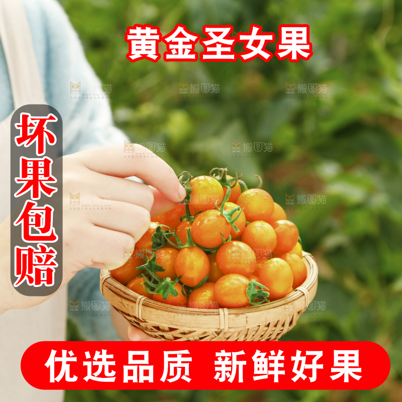 手里捧着一篮子黄金圣女果