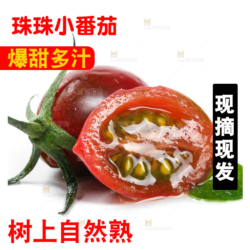 白底上的新鲜小番茄