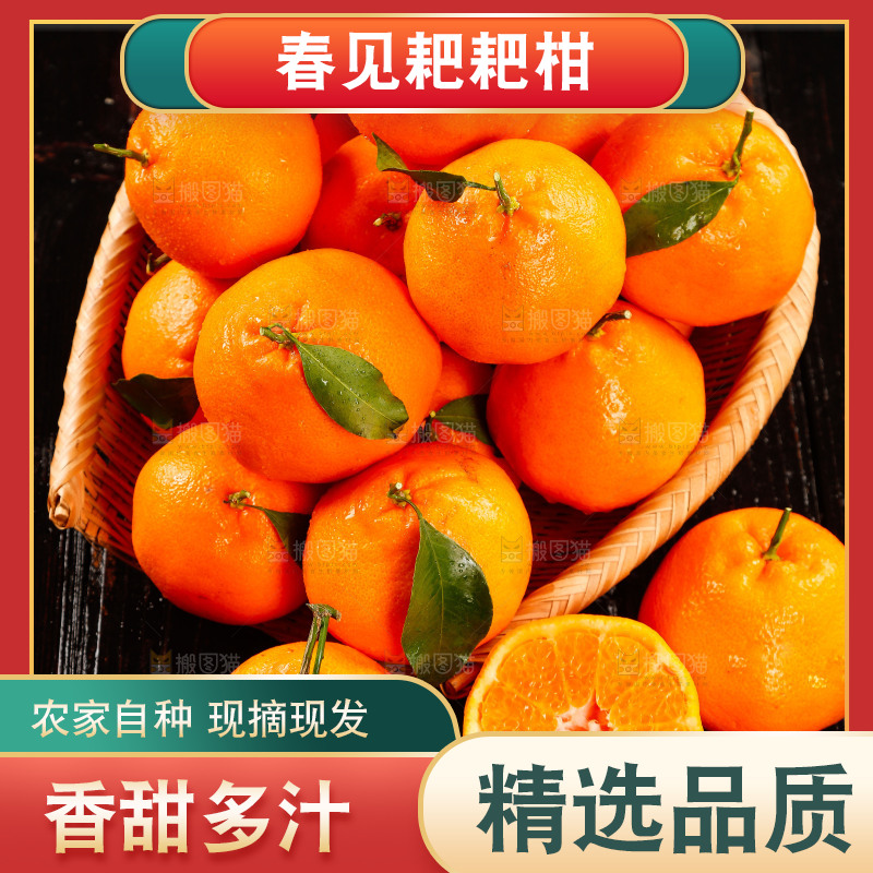 篮子里装着新鲜耙耙柑
